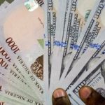 Naira and Dollar 696x391 1