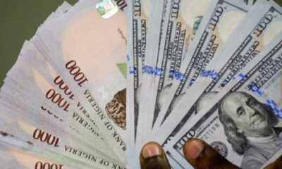 Naira and Dollar 696x391 1