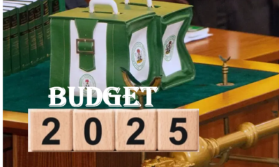 BUdget 2025
