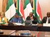 Nigeria, South Africa Set Up Advisory Council to Strengthen Trade, Investment