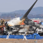 plane jeju