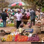 images 5 5