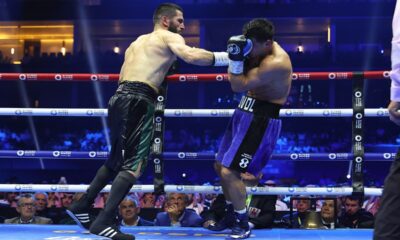 Bivol