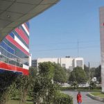 images 61