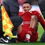 liverpool face