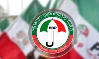 PDP Logo