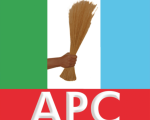 APC Flag