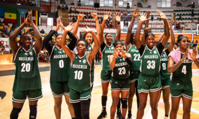 D'tigress yy
