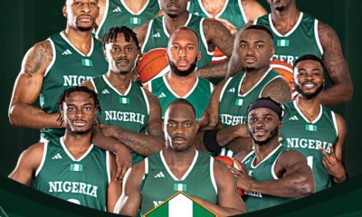 D'TIGERS