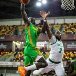 D'TIGERS