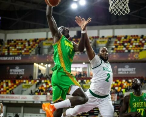 D'TIGERS