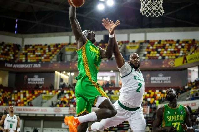 D'TIGERS