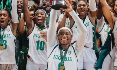 D'TIGRESS