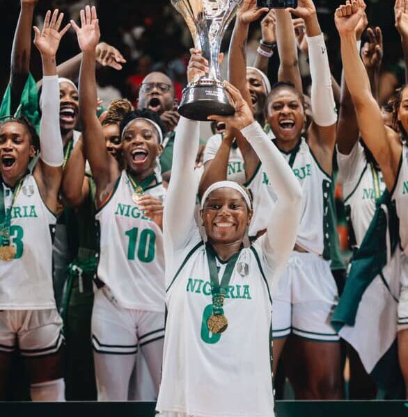D'TIGRESS