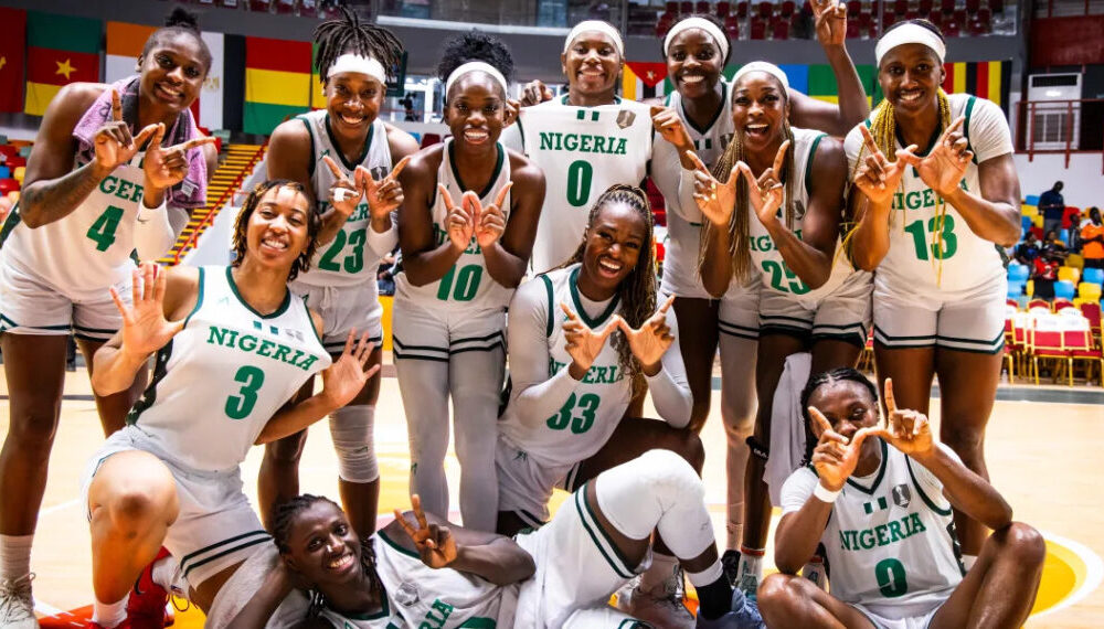 D'TIGRESS NEW