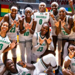 D'TIGRESS NEW