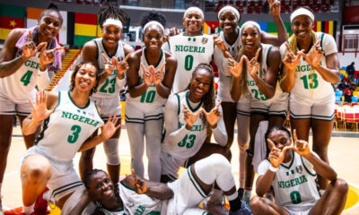 D'TIGRESS NEW