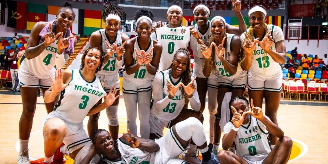 D'TIGRESS NEW