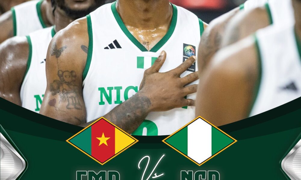 D'tigers