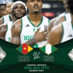 D'tigers