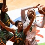 D'tigress23