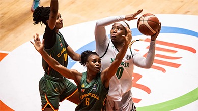 D'tigress23