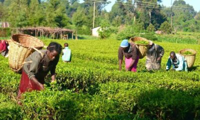 images (27)