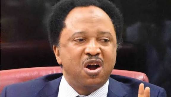 Shehu Sani Urges FG To Replace Local Government “Chairman” with “Mayor”