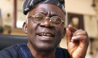 Femi Falana 1 768x443 1