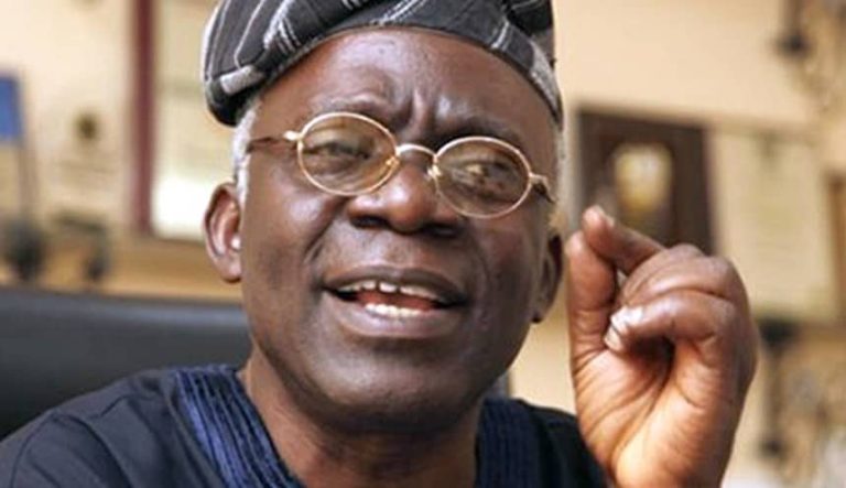Femi Falana 1 768x443 1