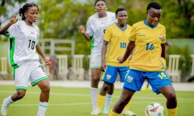 falconets