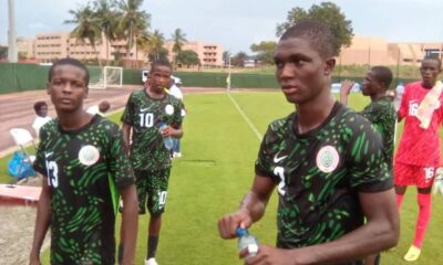 golden eaglets