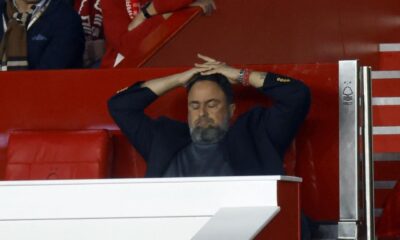 FOREST FANS