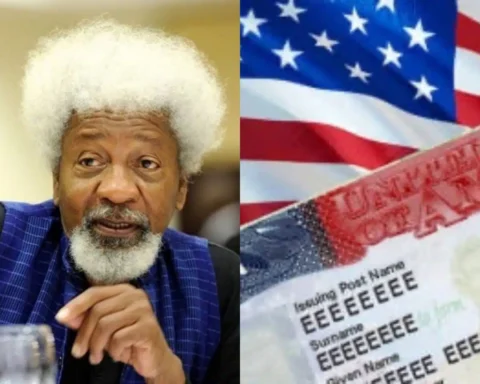 PhotoGrid Plus 1761665775782 1838x960.jpg