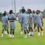 super eagles