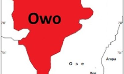Owo Town 2