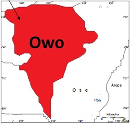 Owo Monarch Bans Local Government Chairman