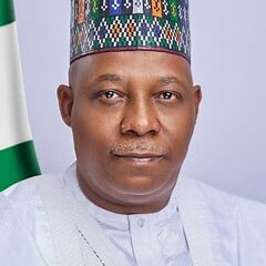 Vice President
