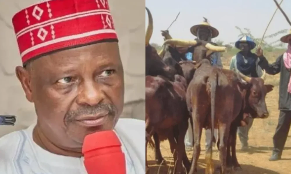 MixCollage 11 Feb 2026 01 51 PM 263 scaled