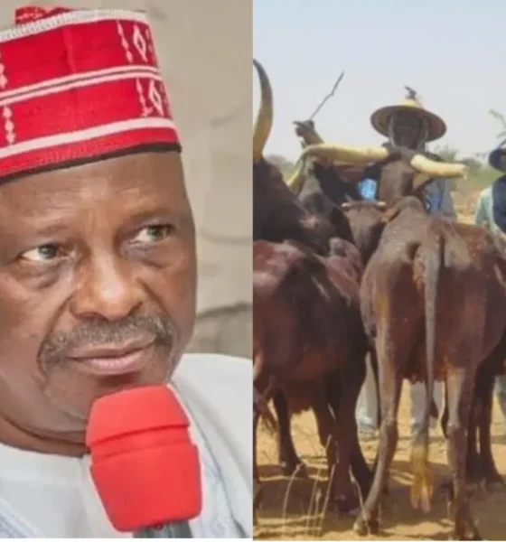 MixCollage 11 Feb 2026 01 51 PM 263 scaled