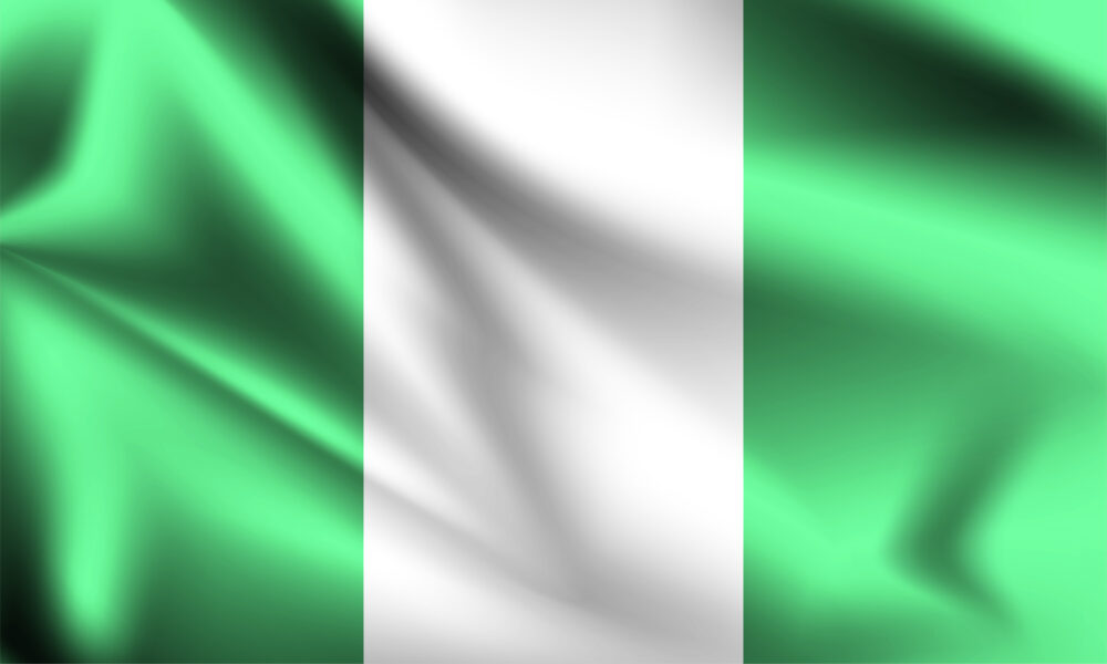 nigerian 3d flag vector