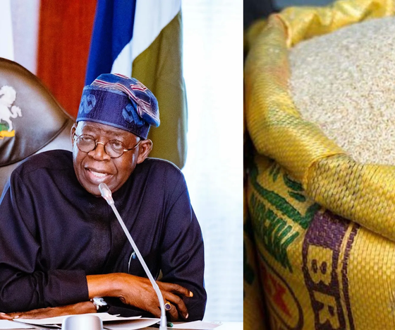 7d286de9 4208 45ad 9622 81a5990ebe80