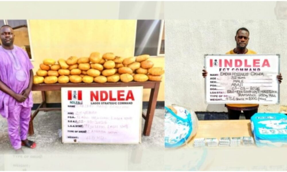 NDLEA 1280x720