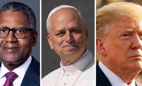 672343272 1368462331978908 871810264669351584 n