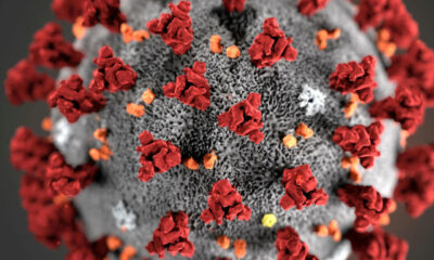 coronavirus 3