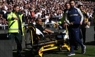 xavi simons tottenham hotspur leaves 1076160986