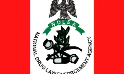 NDLEA