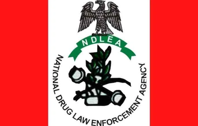 NDLEA