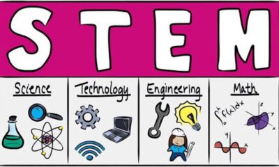 stem